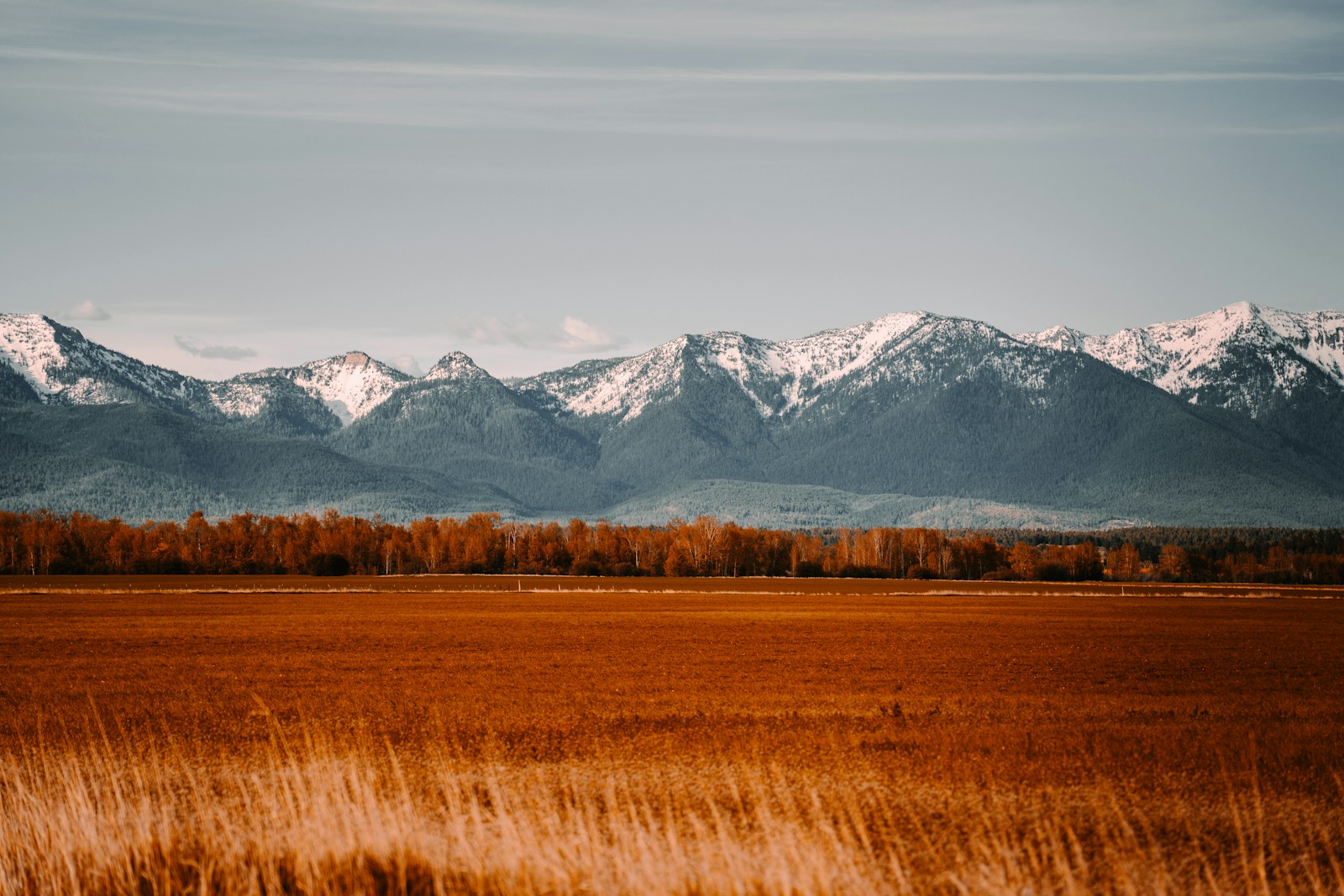 brown grass field near mountain under blue sky during daytime